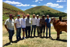 Filmagem dos animais para o 4° Leilão Virtual Fazenda Oriente