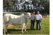 Visita fazenda Nelore Barreiro, nosso amigo Xiquinho